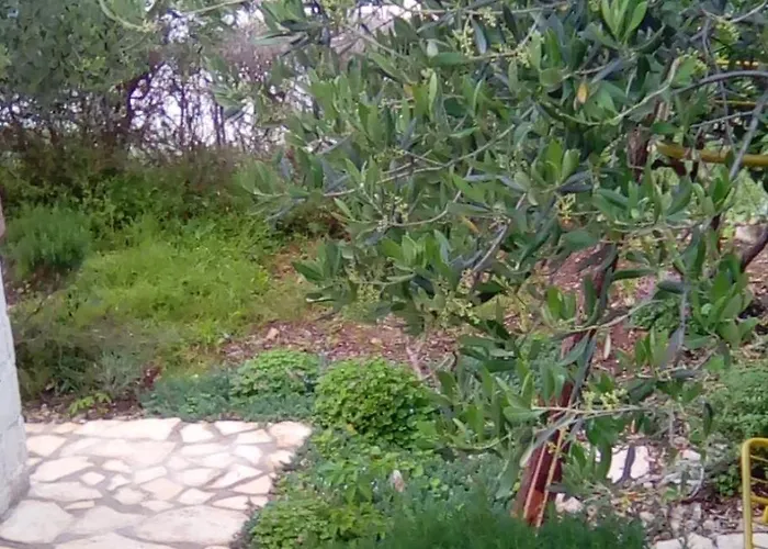 Сasa de vacaciones House With A Parking Space Mastrinka, Ciovo - 7583 Trogir